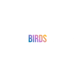 3 Little Birds Customs LLC
