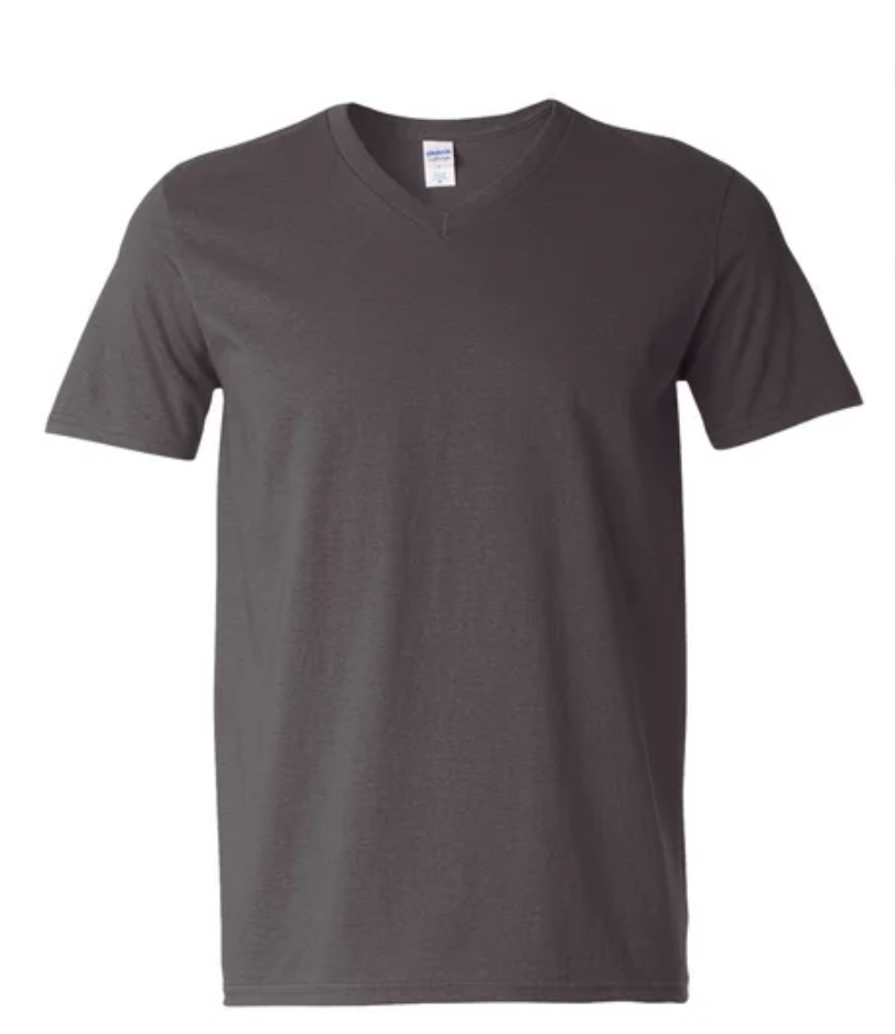 Adult Gildan V-Neck T-Shirt
